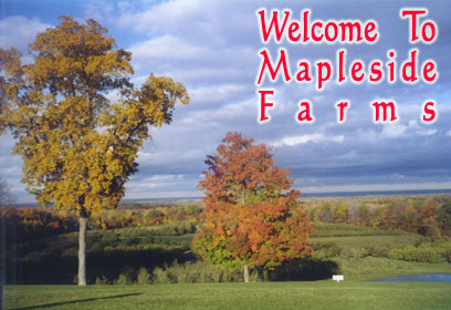 Mapleside Farms postcard