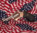 Gun