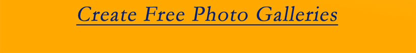 Sign In/Sign Up Link