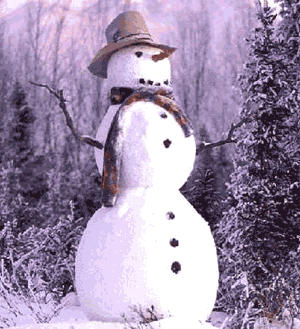 Snowman 1 saved as gif file