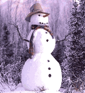 Snowman in the Forest