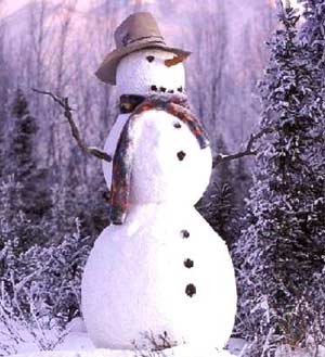 Snowman in the Forest