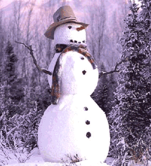 Snowman in the Forest