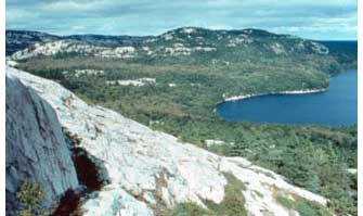 aerial view of Killarney Park