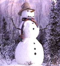 jpg of Snowman in Woods