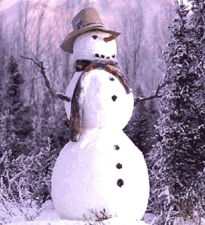 images/snowman1.gif