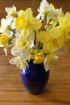 Vase of spring flowers on kitchen table
