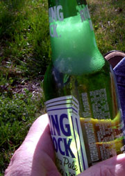 Bottle of Rolling Rock in hand. 