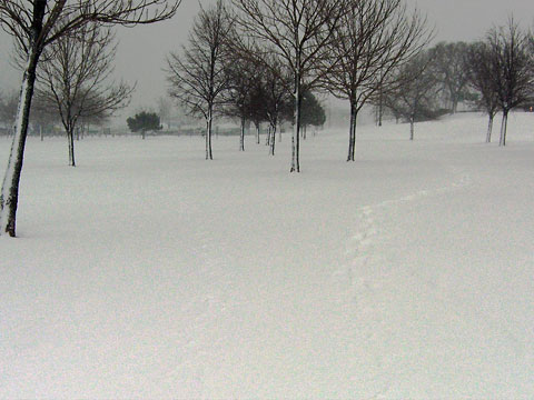 Footprints in the snow, one set veering off to the right.