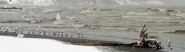 Waves hitting the beach during a snowstorm