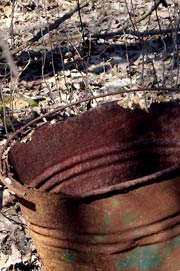 Rusted pail in the woods
