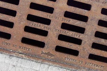 Sewer grate with Dump No Waste warning