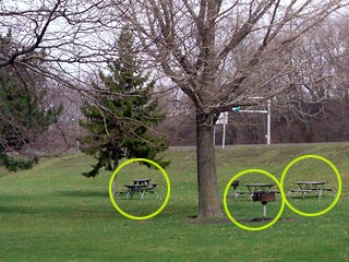 Picnic tables on grass at Edgewater Park
