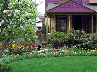 House with lots of flowers