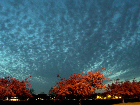 Dramatic sweep of clouds after sunset