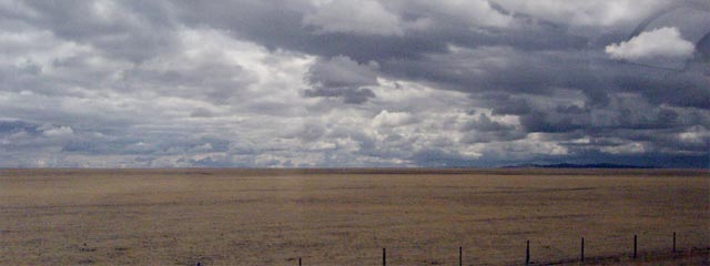 Golden fields, cloudy sky overhead