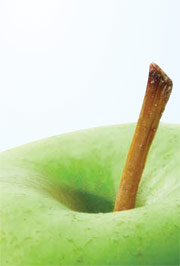 Poster detail