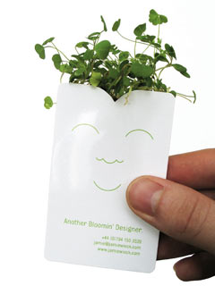 Designer's business card with sprouts growing out of it