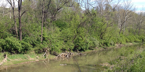 View along the Towpath Trail