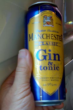 Gin & Tonic in a can.