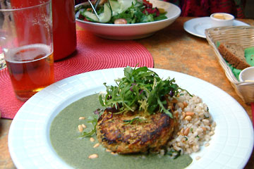 Plate with vegetable pancake, barley and sauce.