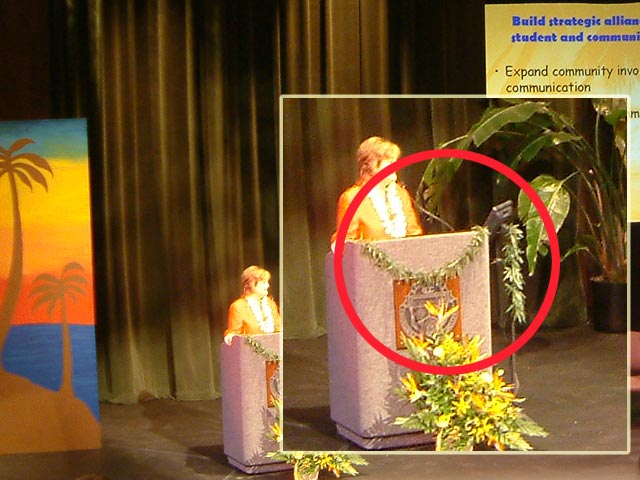 Photo of stage with detail of green leaves on podium