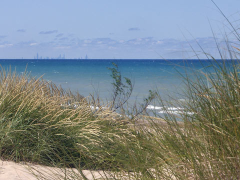 View of Lake Michigan through beach grass, with Chicago skyline on the horizon