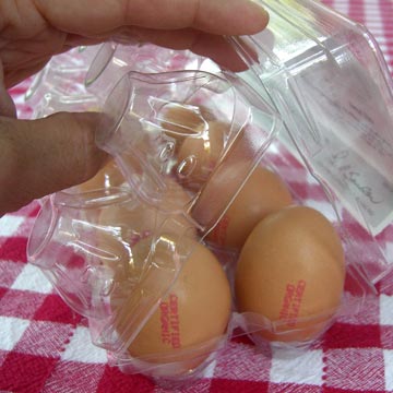 Close up of plastic egg carton showing three layers
