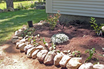 Newly  planted flower bed lined with rocks