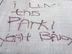 Spray-painted on sidewalk: I luv this park