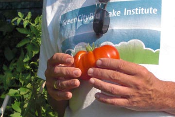 Al holding tomato