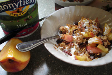 Bowl with peaches, yogurt and granola