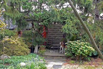 Outdoor structure under trees