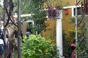 Outdoor structure under trees