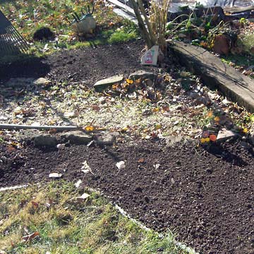 Two areas of soil where seeds have been scattered.