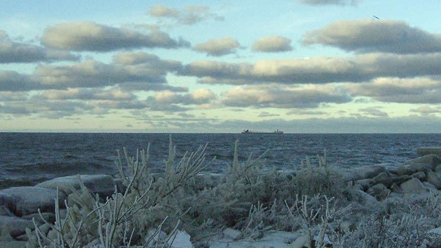 Lake Erie, looking north with freighter at the horizon