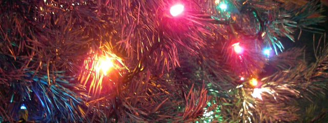 Lights in Xmas tree branches