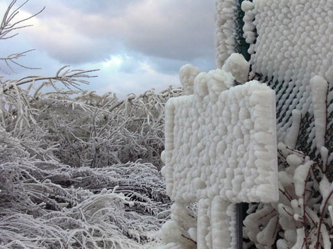 Ice-encrusted fence