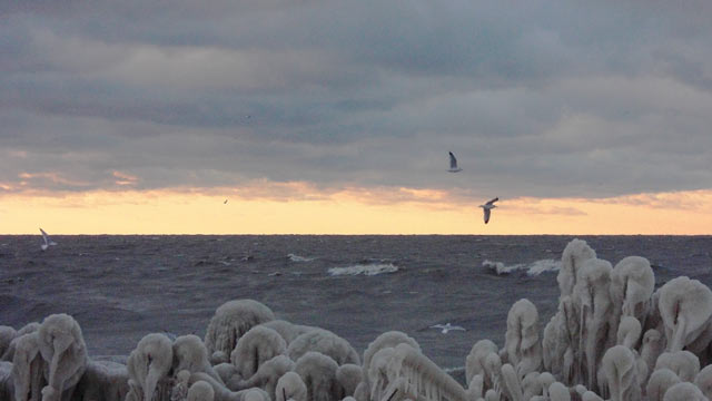 Looking north across Lake Erie