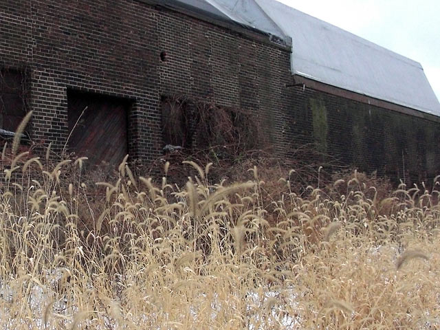 Factory wall, weeds