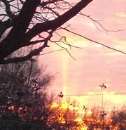 Pink and gold clouds at sunrise