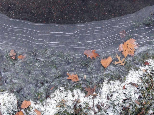 Cracked ice, leaves