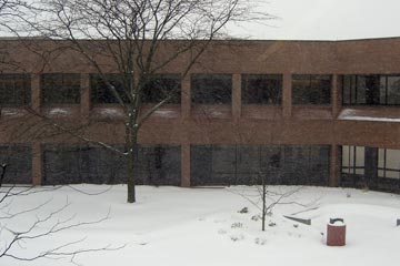 Snow in the Tri-C courtyard