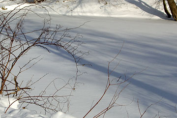 Snow covered Rocky River