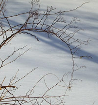 Snow-covered Rocky River