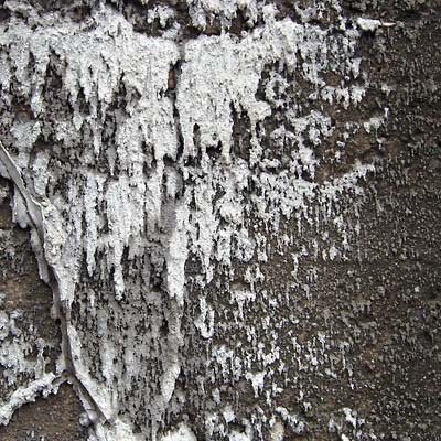 White drips on concrete