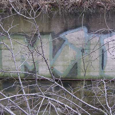 Cleveland graffiti, faded, in the weeds