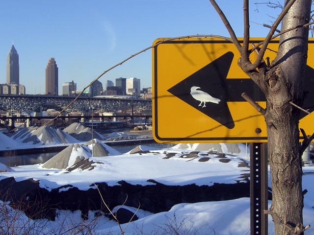 Small bird stenciled on yellow arrow road sign