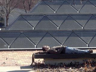 Student laying on bench in sunshine