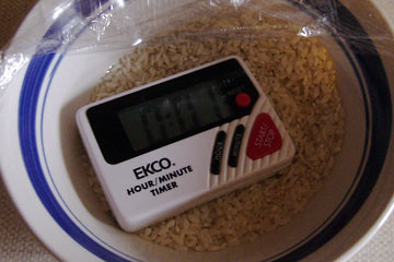 Kitchen timer in bowl of rice